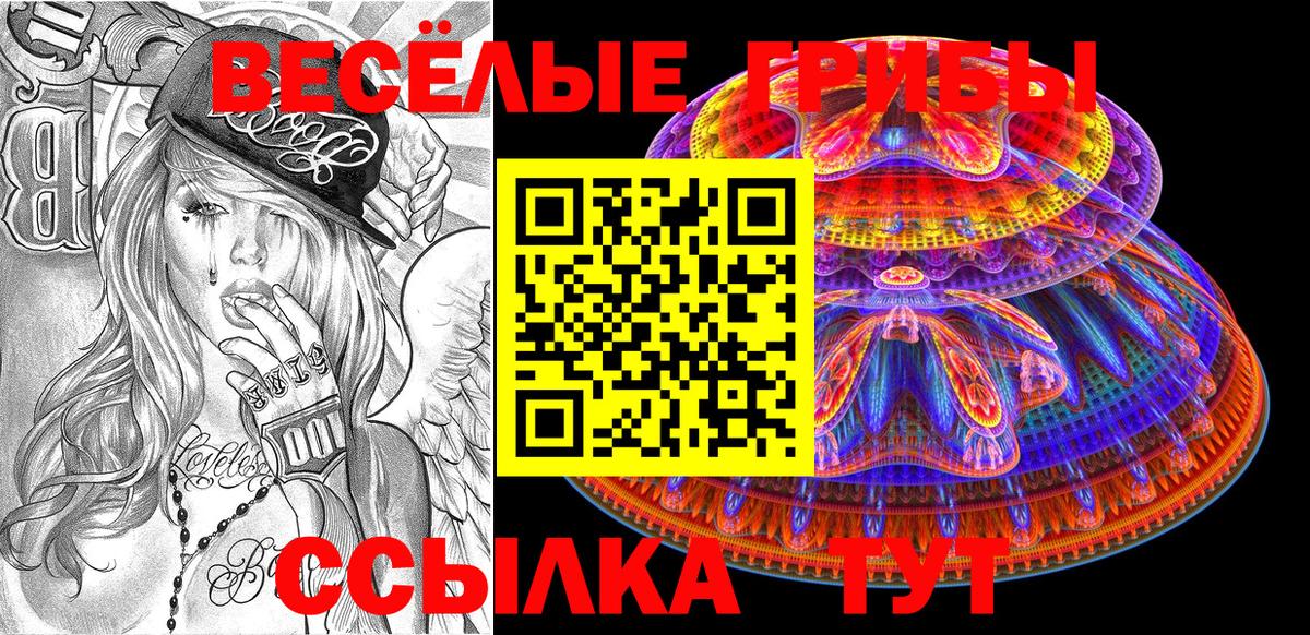 Псилоцибиновые грибы Psilocybe Лабытнанги
